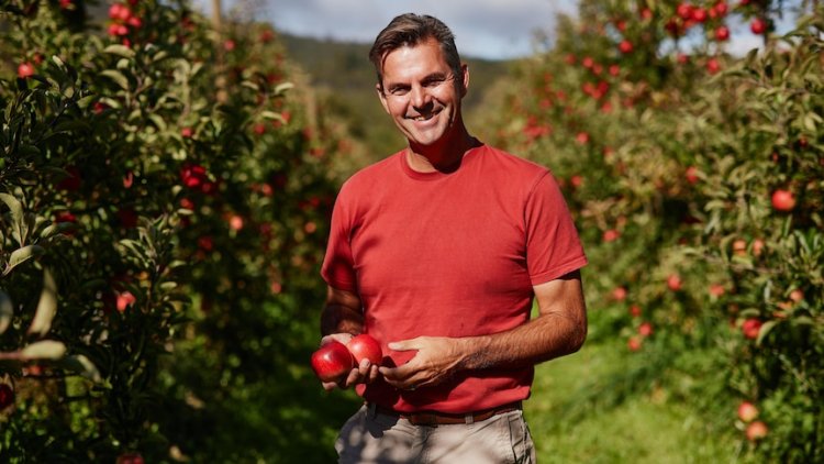 Tassie apple variety Southern Bliss about to enter market as national harvest numbers drop